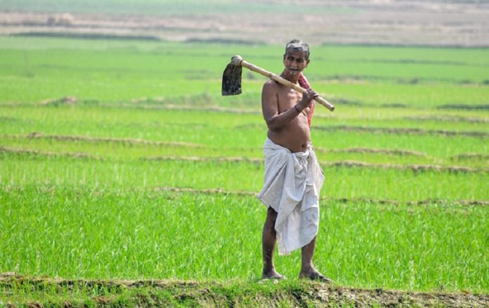 Farmer